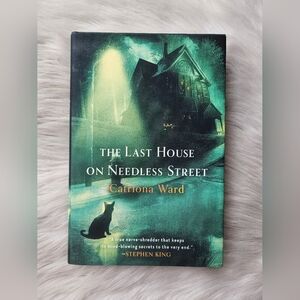 The Last House On Needless Street